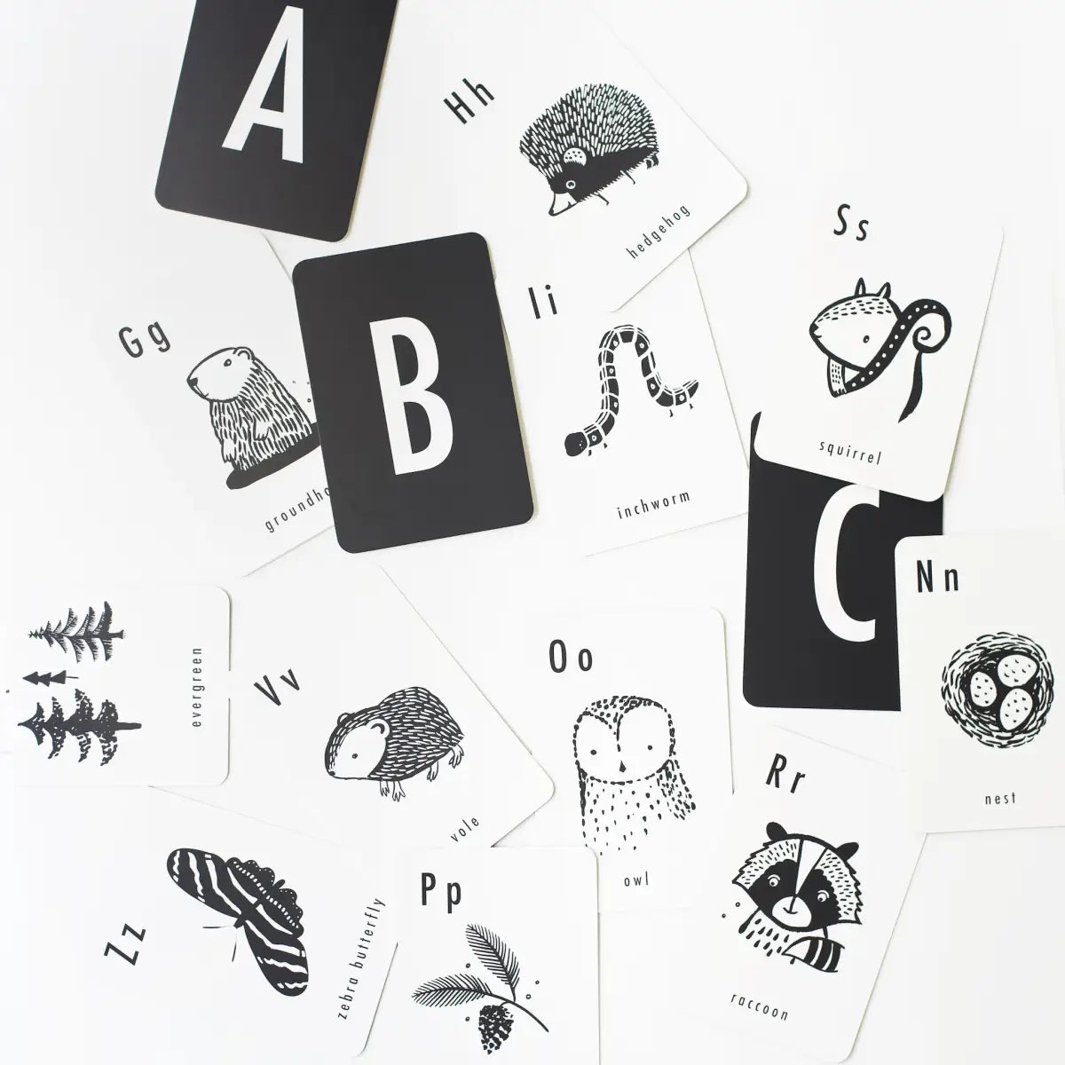 Woodland Alphabet Cards - Wee Gallery