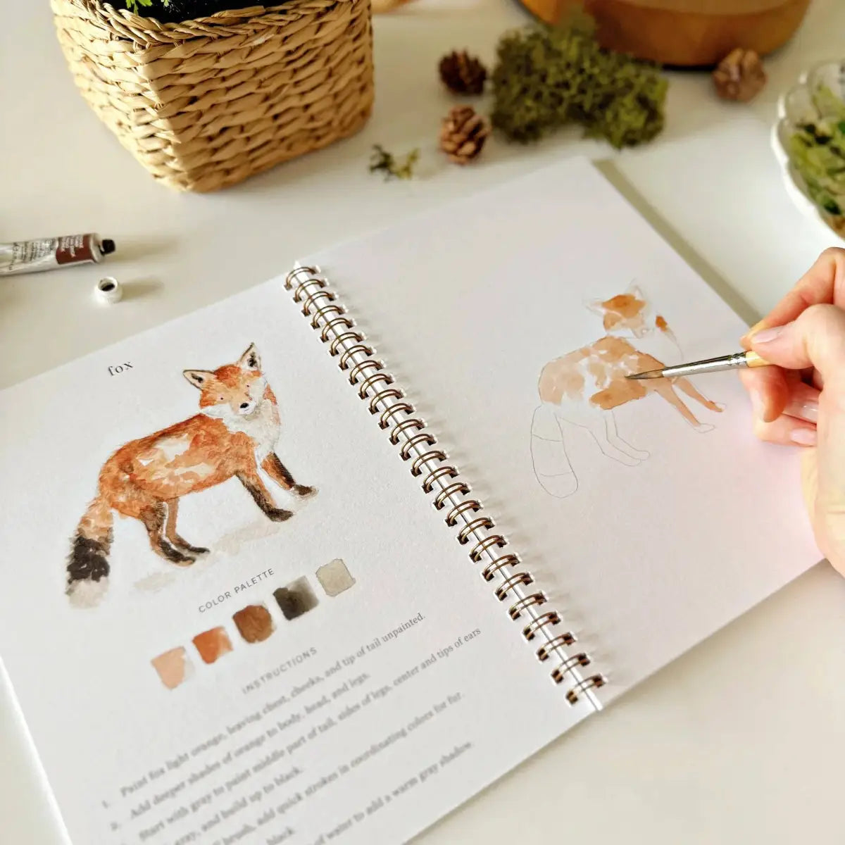Watercolor Workbook - Woodland - Emily Lex - emily lex studio