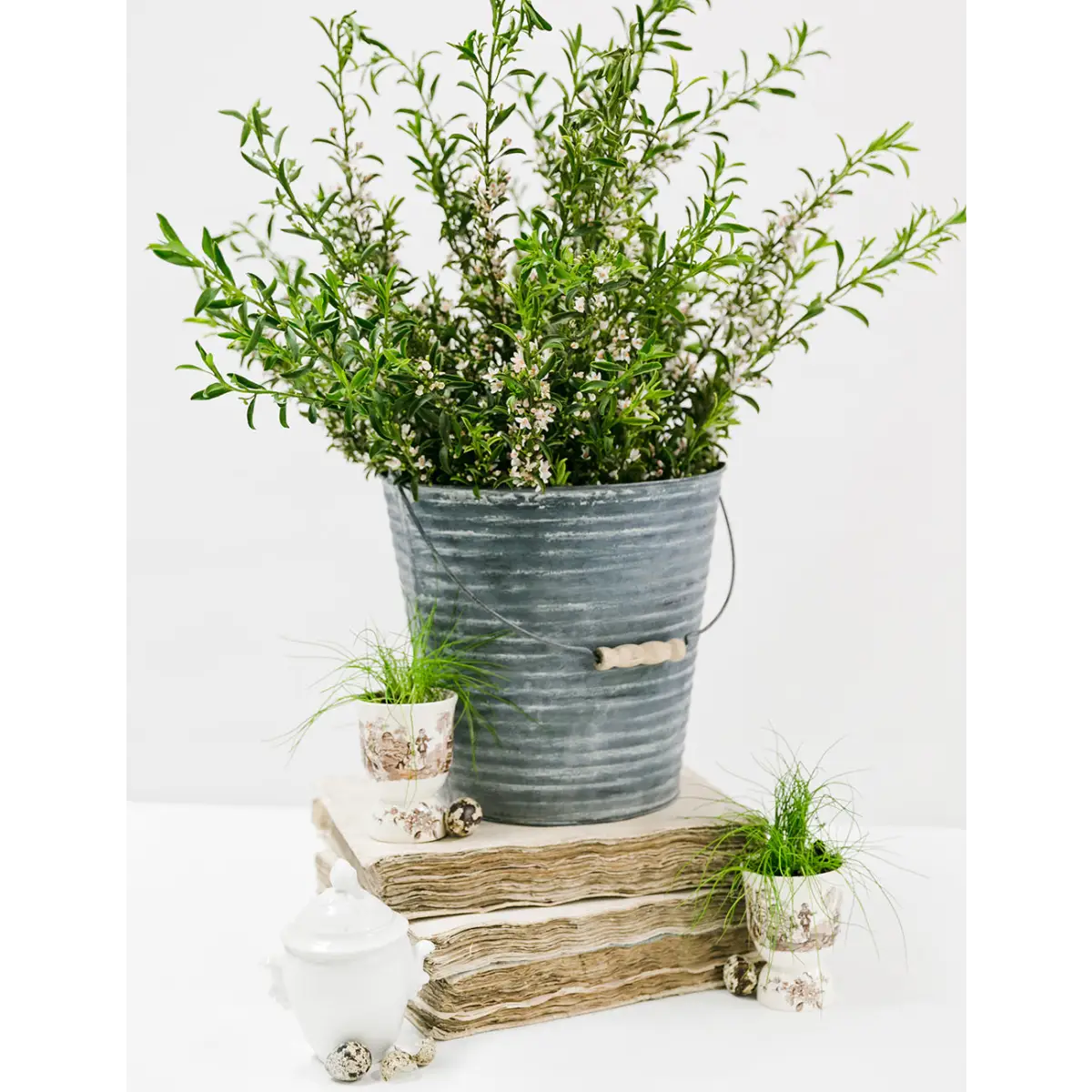Zinc Antiquing Solution - Amy Howard At Home