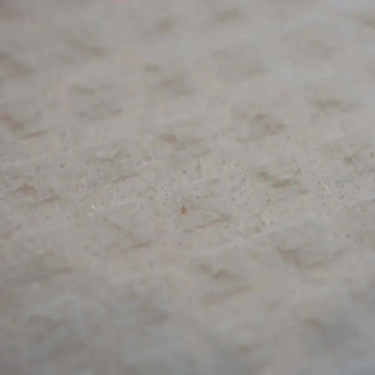 Swedish Dishcloth Closeup of texture
