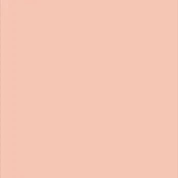 Blush paint color