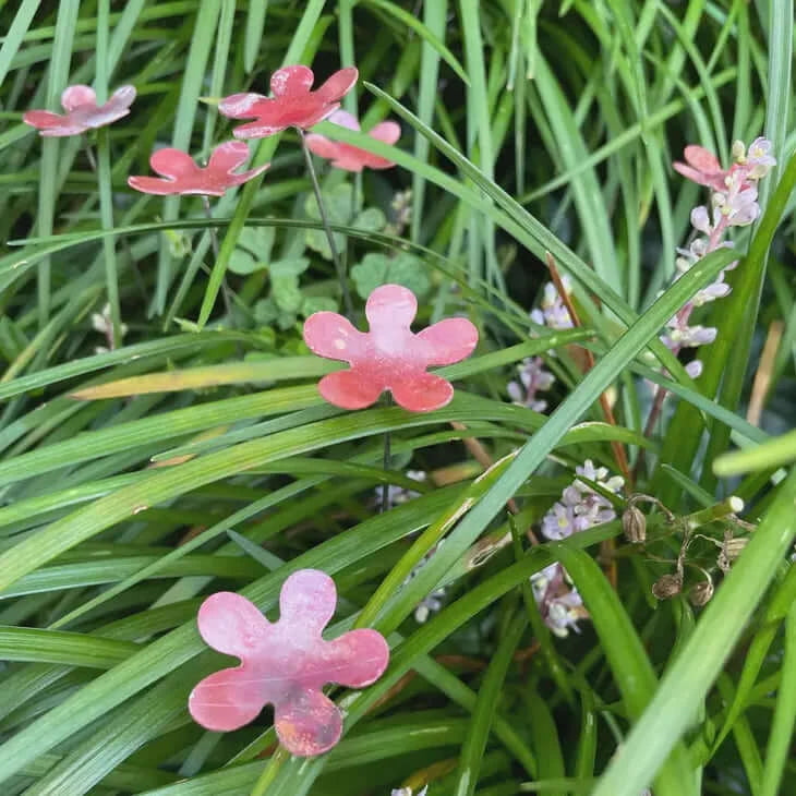 Mini copper flowers in garden